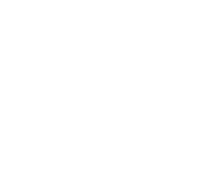Bright Blade LLC